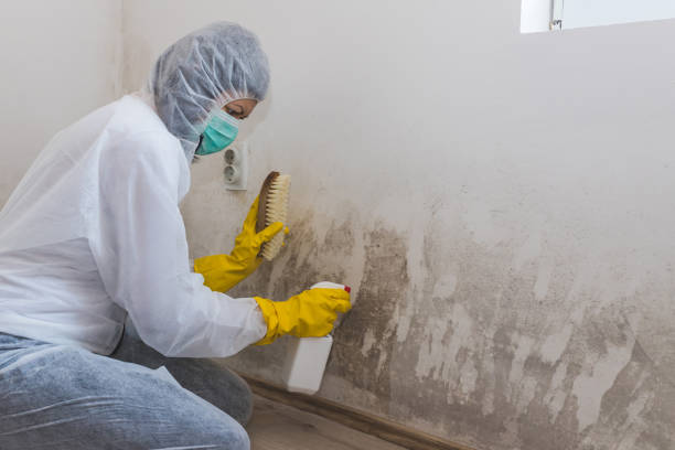 Best Residential Mold Inspection & Testing  in Inverness Highlands South, FL