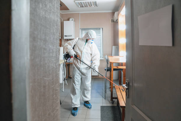 Reliable Inverness Highlands South, FL Mold Removal Solutions