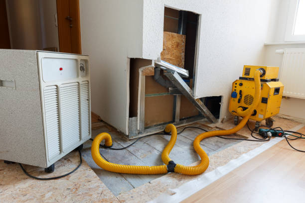 Forensic Mold Investigation in Inverness Highlands South, FL